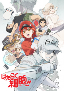 Hataraku Saibou เซลล์ขยัน พันธุ์เดือด ภาค 2 ตอนที่ 1-8 ซับไทย